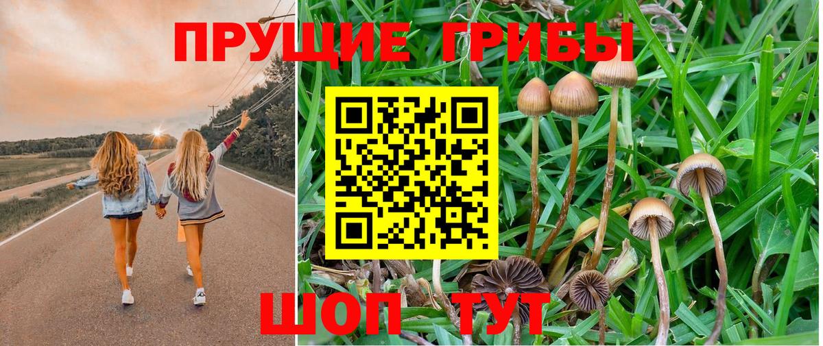 Воткинск  Псилоцибиновые грибы GOLDEN TEACHER  Вход с VPN 