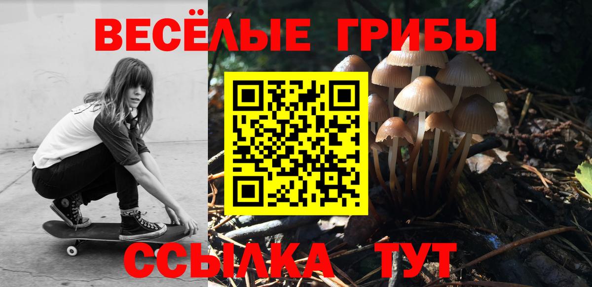 Галлюциногенные грибы Psilocybine cubensis Воткинск